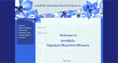 Desktop Screenshot of antabella.com