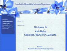 Tablet Screenshot of antabella.com